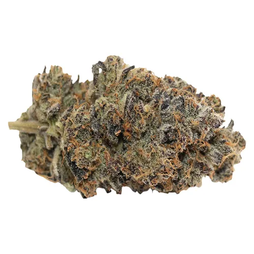Product image of Violet G*shers - Pineapple Buds - Dried Flower