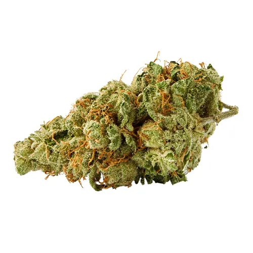 Product image of Oregon Golden Goat - Top Leaf - Dried Flower