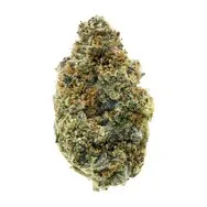 Product image of Lemon Tartz - All Nations - Dried Flower