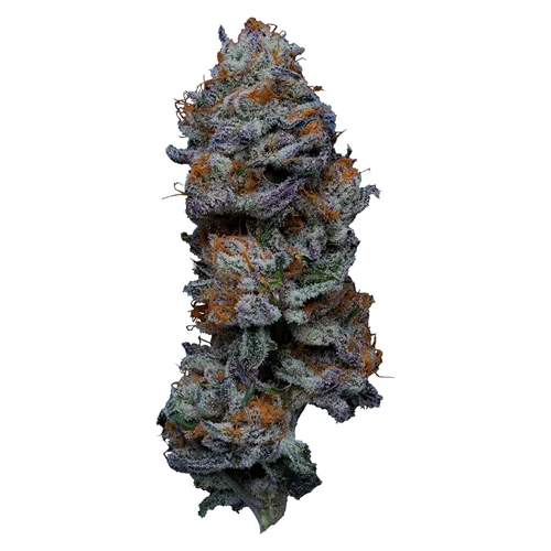 Product image of CB Single Rotating Strain Flower - Cannabis Brothers - Dried Flower