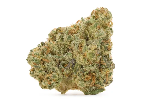 Jack Herer Jamboree Budskis - Chillbilly - Dried Flower