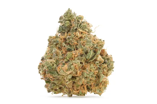 French Toast - BC 1/2 OZ - Dried Flower