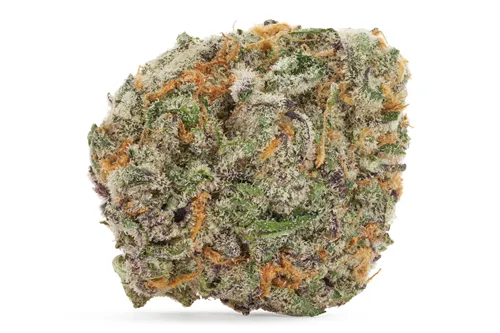 Product image of Cappuccino - Castle Rock Farms - Dried Flower