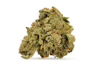 Product image of Apple Rock Candy - Cake & Caviar - Dried Flower