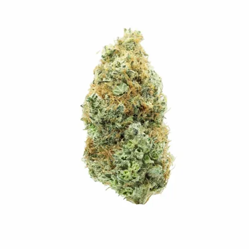 Product image of Day Trippin Smalls - Uncle Bob - Dried Flower