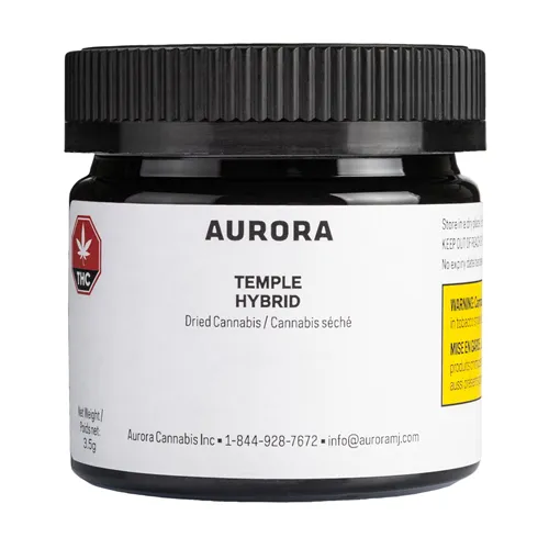 Temple - Aurora - Dried Flower
