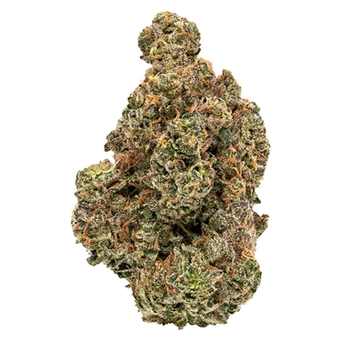 Product image of Golden Hour - FIGR - Dried Flower
