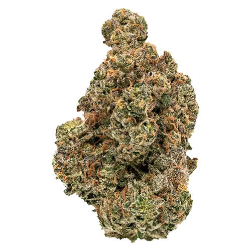 Product image of Golden Hour - FIGR - Dried Flower
