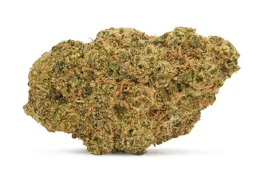 Product image of Ultra Jack - 7ACRES - Dried Flower