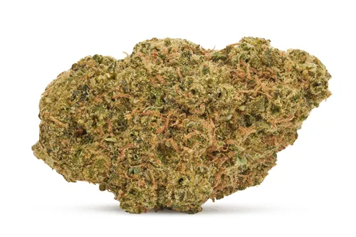 Ultra Jack - 7ACRES - Dried Flower