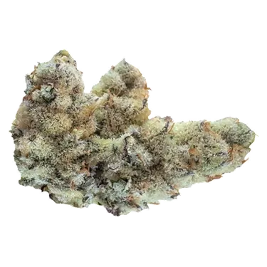 Product image of Silicone Cap - VOLO - Dried Flower