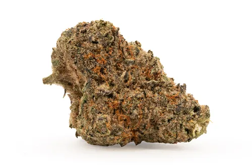 Product image of Blueberry Bubba - Good & Baked - Dried Flower