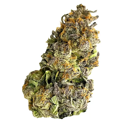 Candyland - Castle Rock Farms - Dried Flower