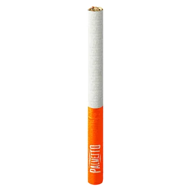 Product image of Apple Sour Sqaud Infused PALS - Palmetto - Infused Joints