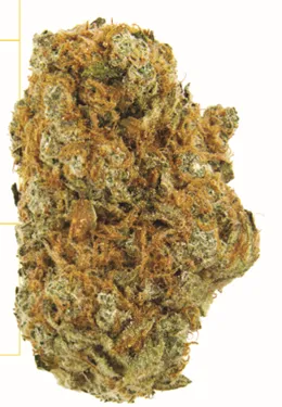 Product image of Zest - Qwest - Pre-Roll - 2 x 0.5g