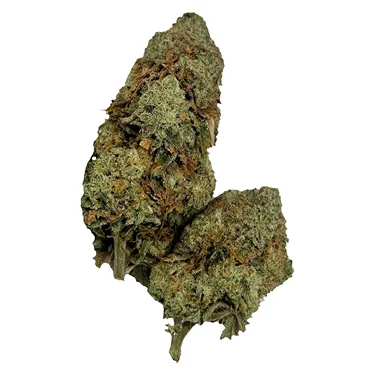 Product image of Super Lemon Haze CBD - Joi Botanicals - Dried Flower