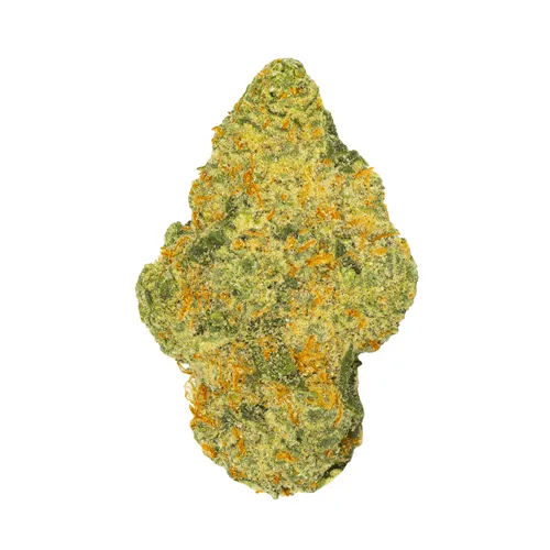 Product image of El Chemino - Daily Special - Dried Flower