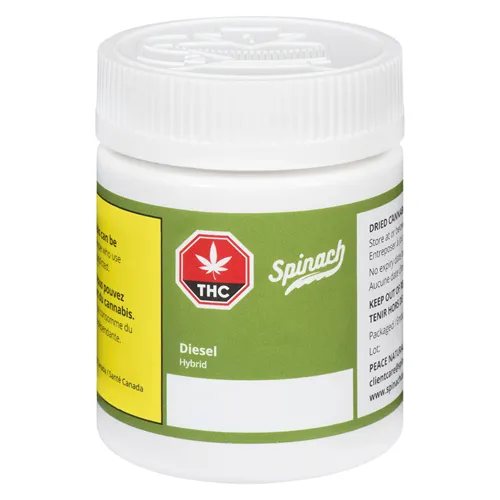 Diesel - Spinach - Dried Flower