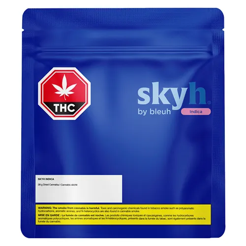 Skyh - Bleuh - Dried Flower