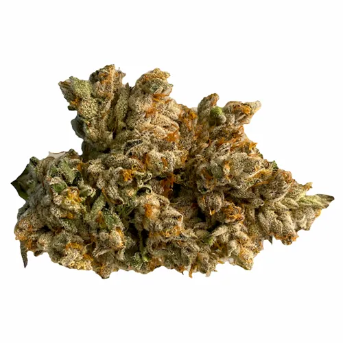 Space Dust - CSPACE - Dried Flower