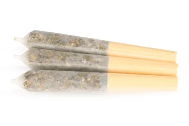 Product image of Lemonberry 60's+ - Dab Bods - Infused Joints