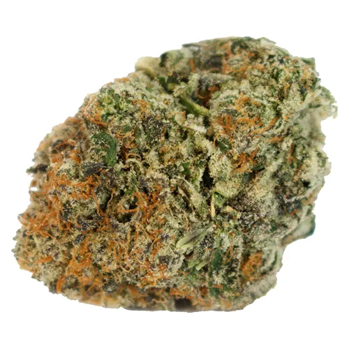 Product image of Black Velvet - Highland Grow - Dried Flower