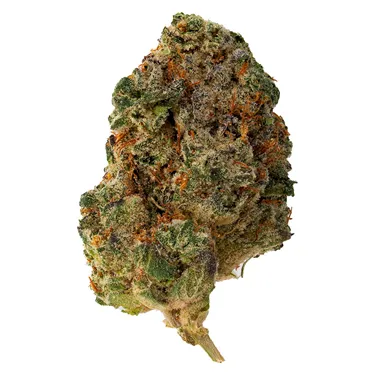 Product image of Purple Rain - The Loud Plug - Dried Flower