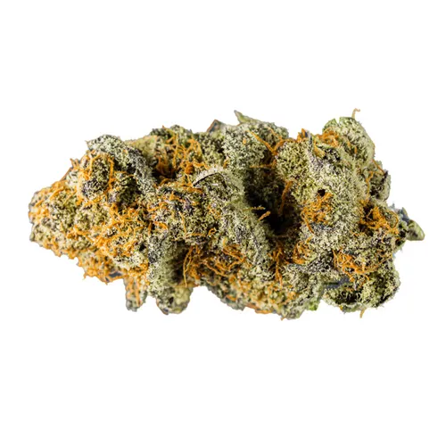 Product image of Cactus Breath - Naked Mummer - Dried Flower