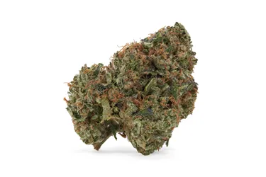 Product image of Stinky Pinky - 1964 - Dried Flower