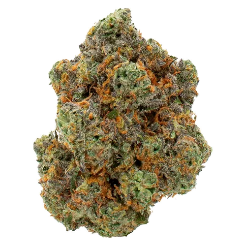 Product image of Mango Kush - Encore - Dried Flower