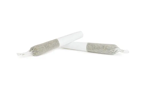 Mango Haze - Color Cannabis - Joints