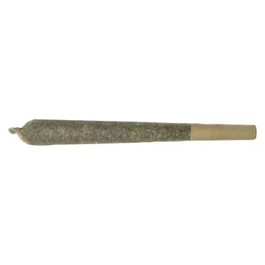Product image of Watermelon G-Bear Distillate Infused - XPLOR Level X - Infused Joints