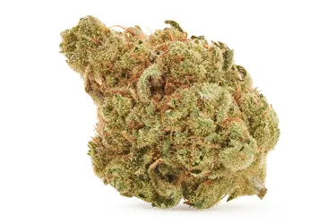 Product image of Warehouse Premium Smalls - Woody Nelson - Dried Flower