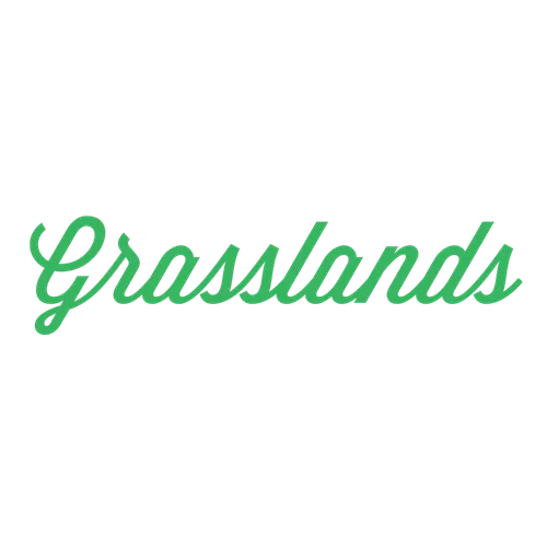 Indica - Grasslands - Dried Flower