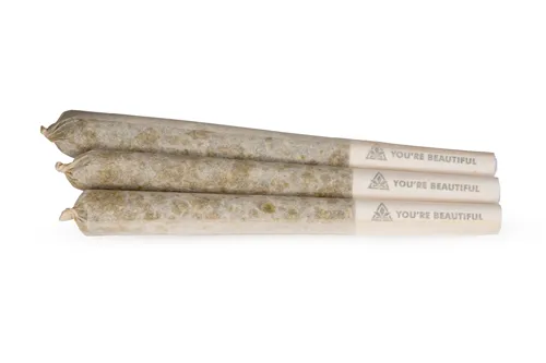 Product image of BC Organic Lemon Cherry Pie - Coast Mountain Cannabis - Joints