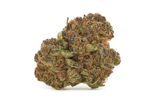 Sweet Notes - Parcel - Dried Flower