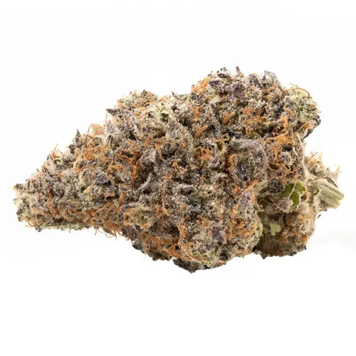 Product image of Bacio Gelato - BLK MKT - Dried Flower