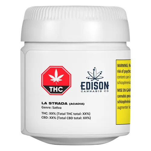 La Strada - Edison - Dried Flower