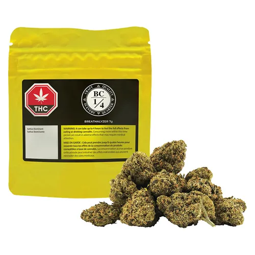 Breathalyzer - BC 1/4 - Dried Flower