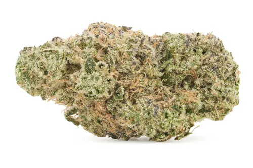 Product image of Rainbow Belts - Cake & Caviar - Dried Flower