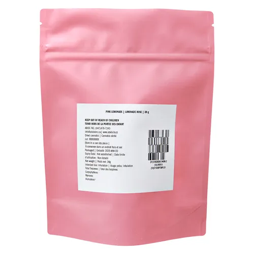 Pink Lemonade - Abide - Dried Flower