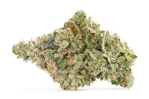 Product image of Timmy's OG Shark - Salt Spring Magic - Dried Flower