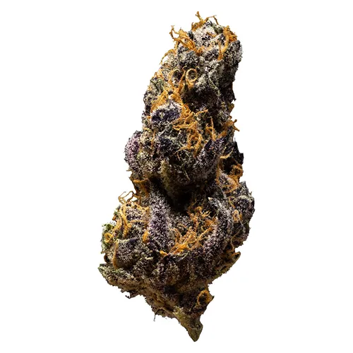 Black Cheese - 3rd Coast Genetics - Dried Flower