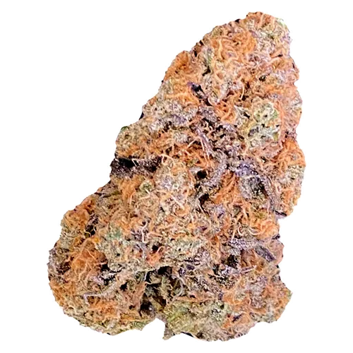 Product image of Frozen Black Cherry - Dazed N’ Confused - Dried Flower