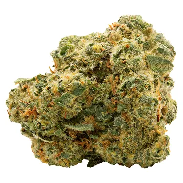 Product image of Blue Thai - Spinach - Dried Flower