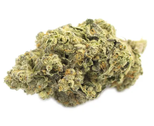 Product image of Chunk Dawg - Terp Town Collective - Dried Flower