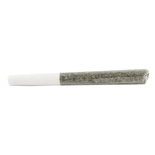Assorted Multi Pack - 5 Points Cannabis - Joints