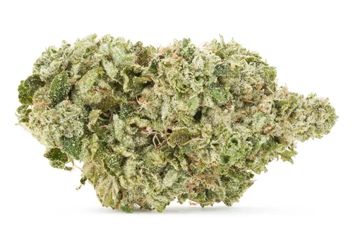 Product image of Pine Tar Kush - Magic - Dried Flower