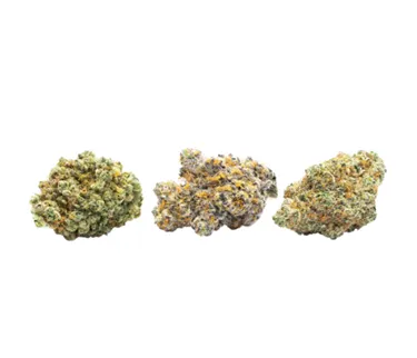 Product image of The Craft Tasting Flight: Micro Edition - Cognoscente - Dried Flower