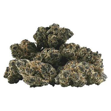 Product image of Pink Pavlova - BC 1/4 - Dried Flower
